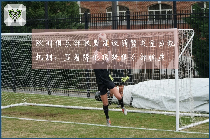 欧洲俱乐部联盟建议调整奖金分配机制，显著降低顶级俱乐部收益
